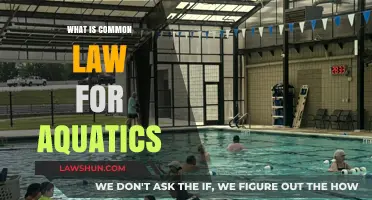 Aquatics Law: Understanding Common Legal Principles