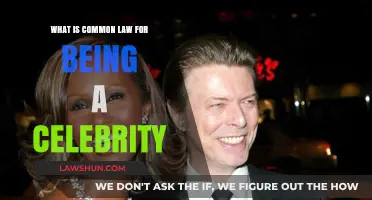 The Unwritten Rules of Celebrity Status