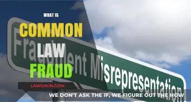 Understanding Common Law Fraud: Definition and Examples