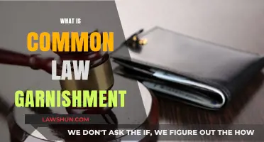 Garnishment and Common Law: What You Need to Know