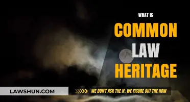Common Law Heritage: A Historical Overview