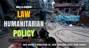 Humanitarian Policy: Common Law's Role