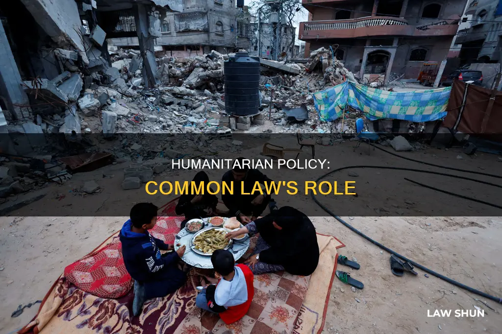 what is common law humanitarian policy
