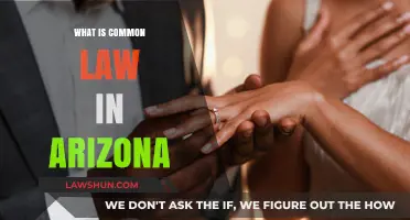 Understanding Arizona's Unique Common Law System