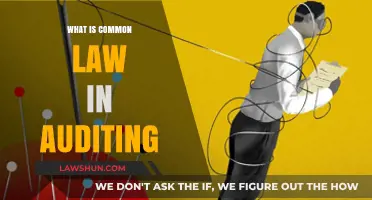 Auditing's Common Law: Understanding the Basics
