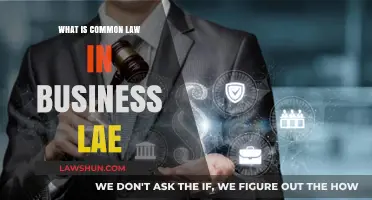Business Law Basics: Understanding Common Law