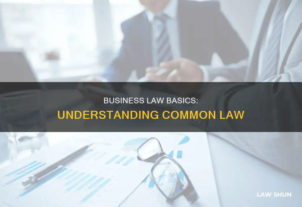 what is common law in business lae