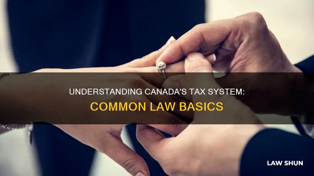 what is common law in canada for taxes