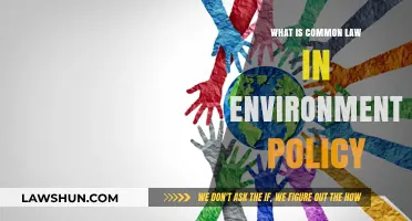 Environmental Policy: Common Law's Role