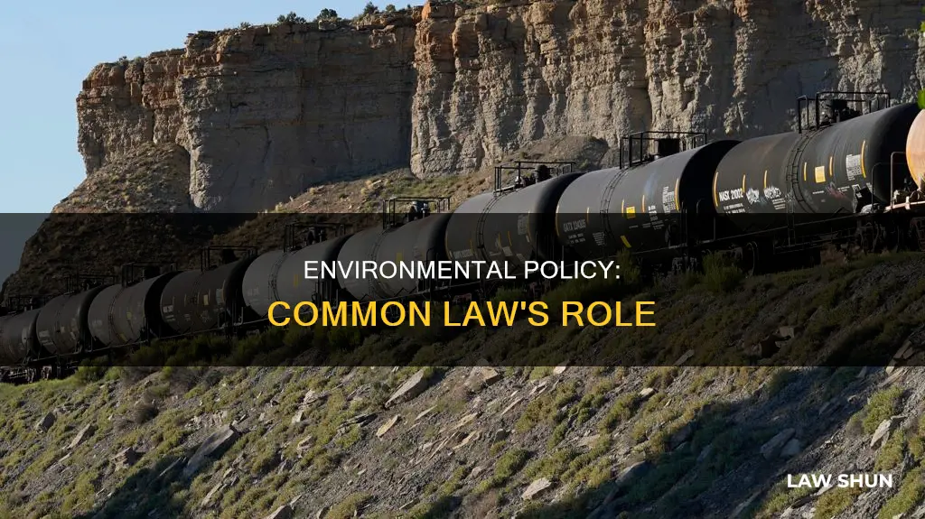 what is common law in environmental policy