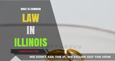 Understanding Illinois' Unique Common Law System