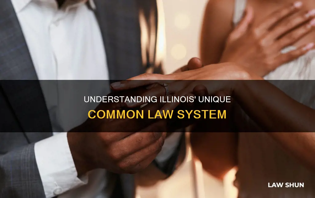 what is common law in illinois