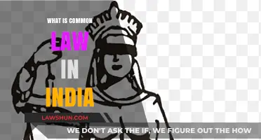 Understanding India's Common Law System