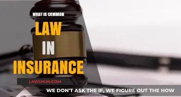 Understanding Common Law Principles in Insurance