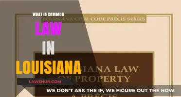 Louisiana's Unique Common Law System Explained