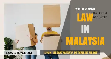 Understanding Malaysia's Common Law System