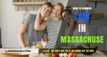 Understanding Massachusetts' Unique Common Law System