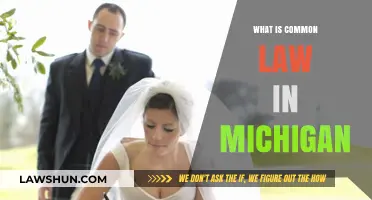 Understanding Common Law in Michigan
