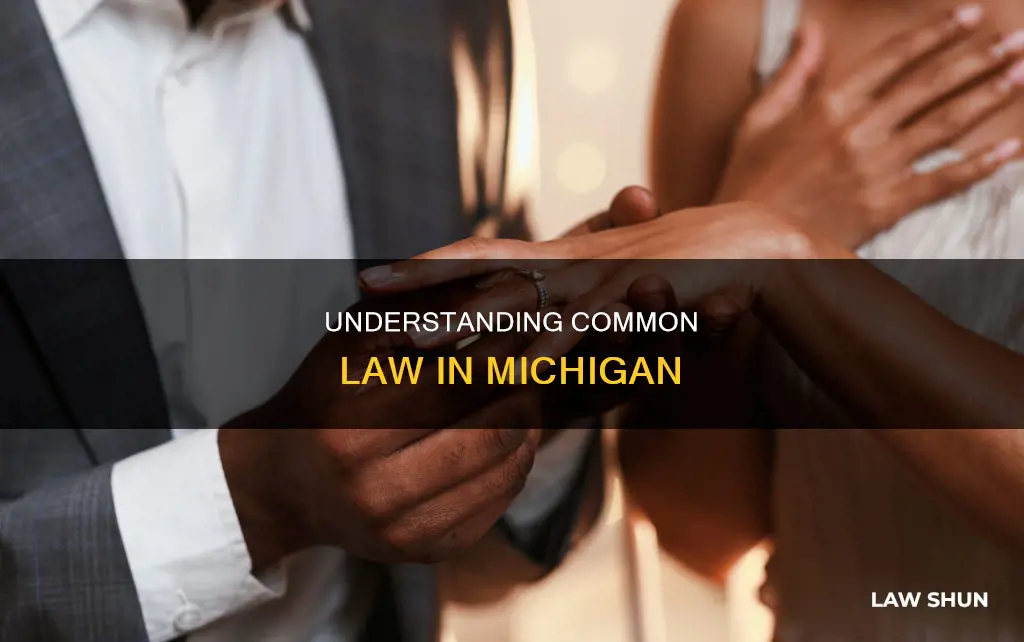 what is common law in michigan