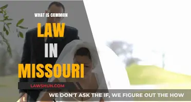 Missouri's Common Law: What You Need to Know
