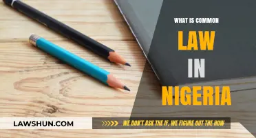 Understanding Common Law in Nigeria