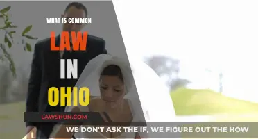Understanding Common Law in Ohio