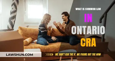 Common-Law Couples: CRA's Ontario Tax Treatment