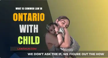Understanding Common Law Parenting in Ontario