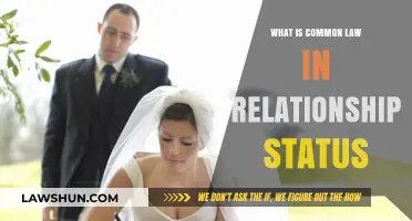 Common-Law Relationships: What's the Deal?