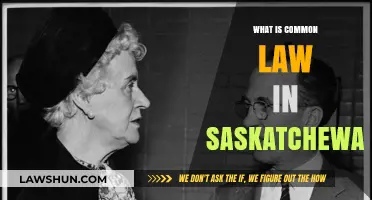 Saskatchewan's Common Law: What You Need to Know
