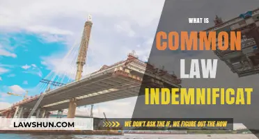 Understanding Common Law Indemnification: Rights and Responsibilities