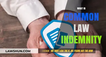 Understanding Common Law Indemnity: Key Principles Explained