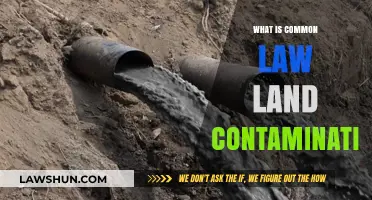 Land Contamination: Common Law's Impact