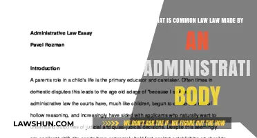 Understanding Administrative Law and Common Law