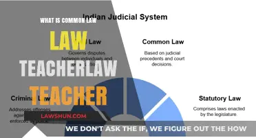 Common Law: Understanding the Basics