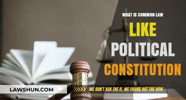 How Common Law Constitutions Shape Nations