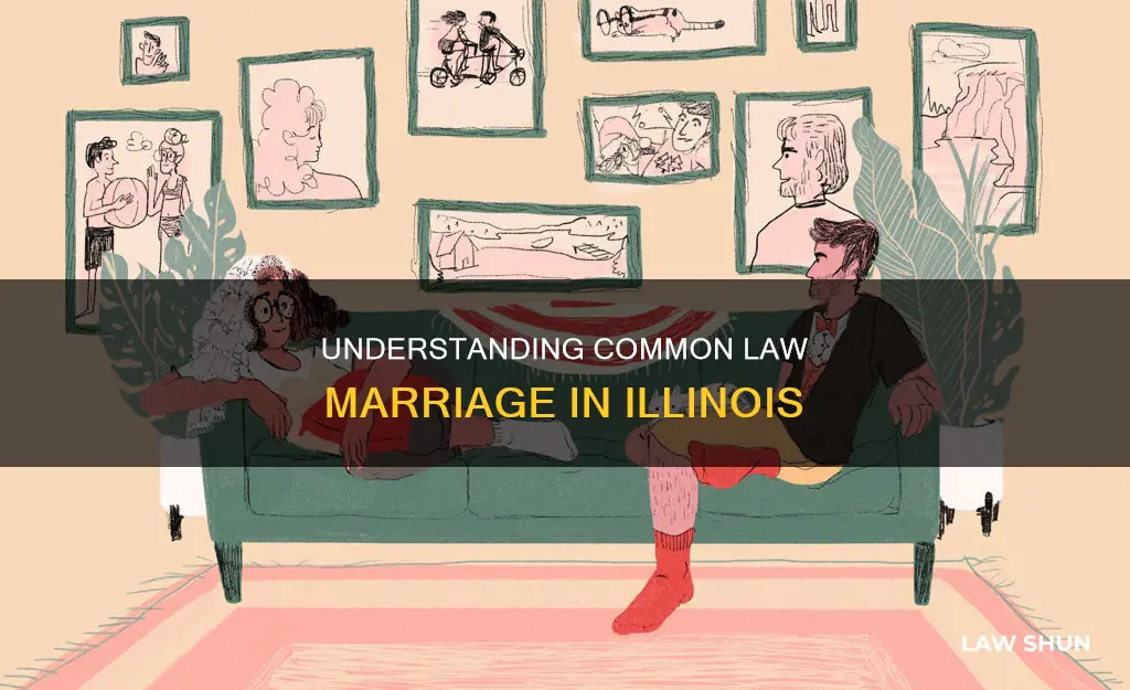 what is common law marriage illinois