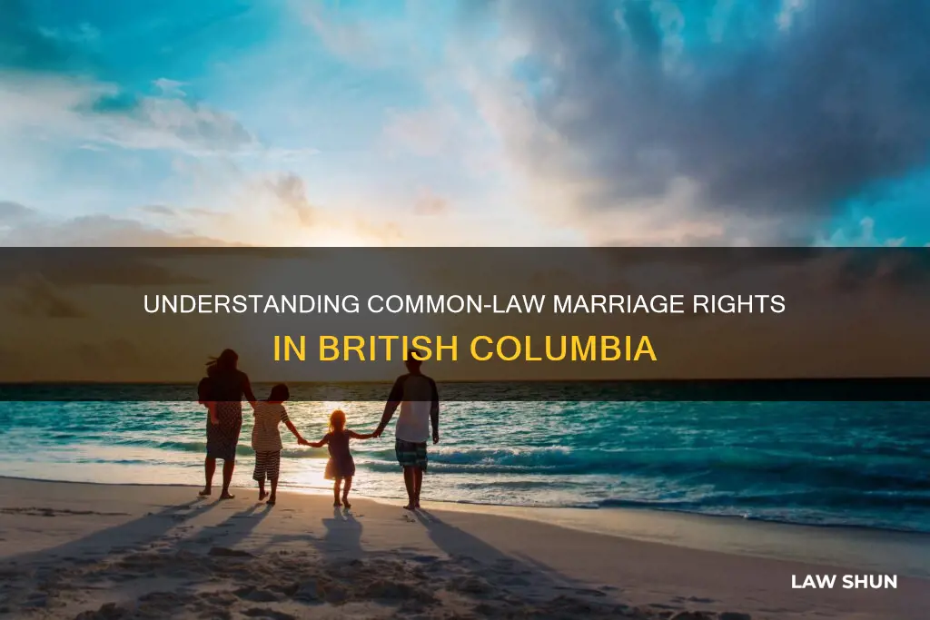 what is common law marriage in bc canada
