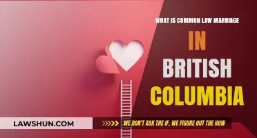 Common-Law Marriage in British Columbia: What's the Law?