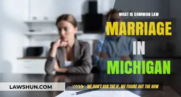 Marriage Law in Michigan: Common Law Explained