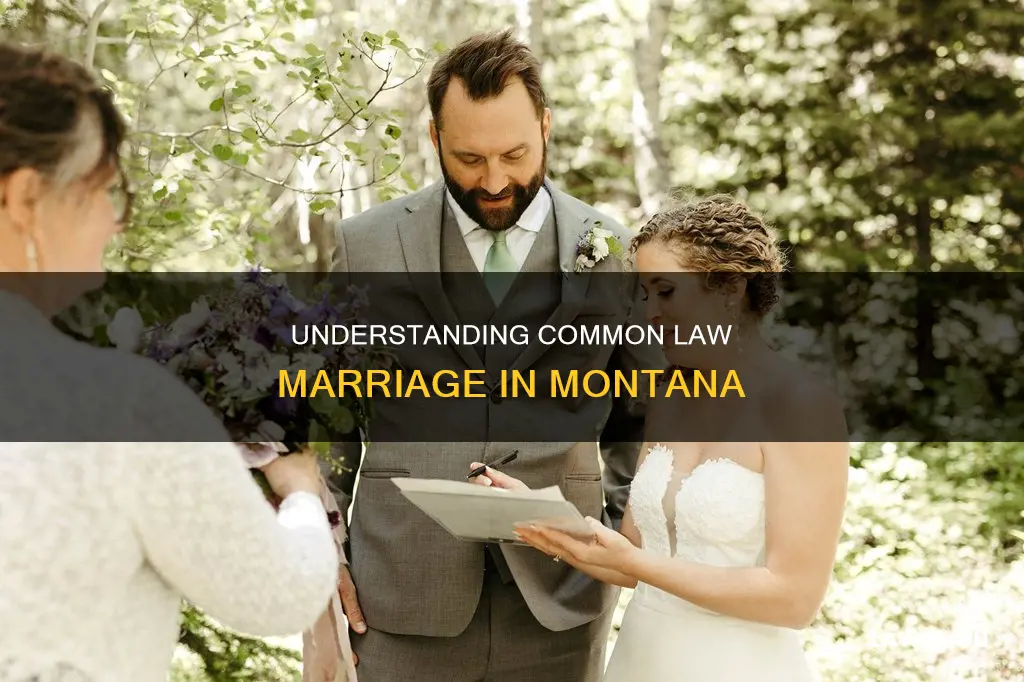 what is common law marriage in mt