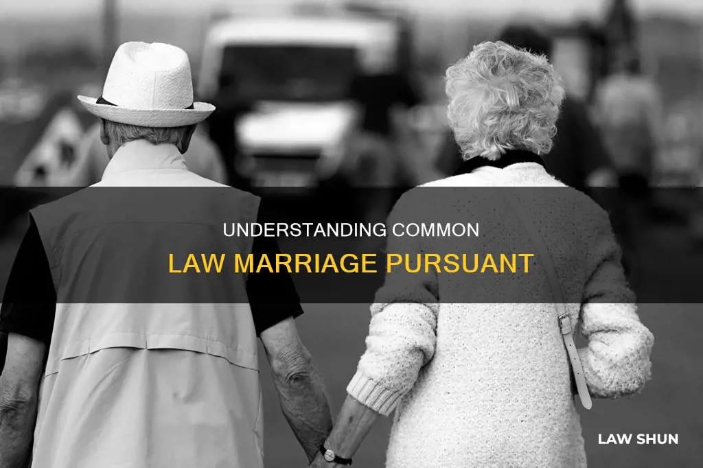 what is common law married pursuant