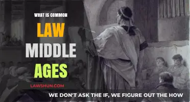 The Evolution of Common Law in the Middle Ages