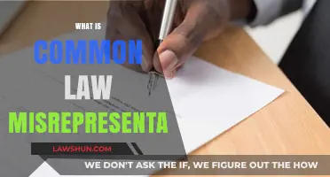 Misrepresentation: Common Law's Complexities