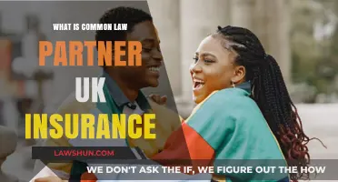 Understanding UK Insurance for Common-Law Partners