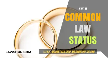 Understanding Common-Law Status: Legal Rights and Benefits