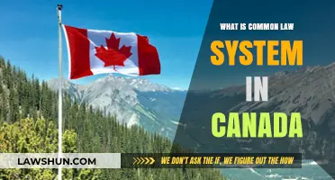 Canada's Common Law System: How It Works