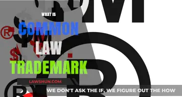 Trademark Rights: Common Law vs. Registration
