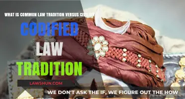 Civil Law vs Common Law: Understanding Legal Traditions