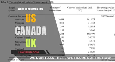 Common Law: US, Canada, UK Differences Explained